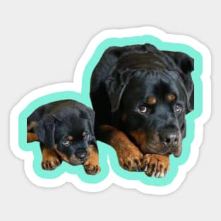 "Loyal Bond: Rottweiler Mothering" Sticker